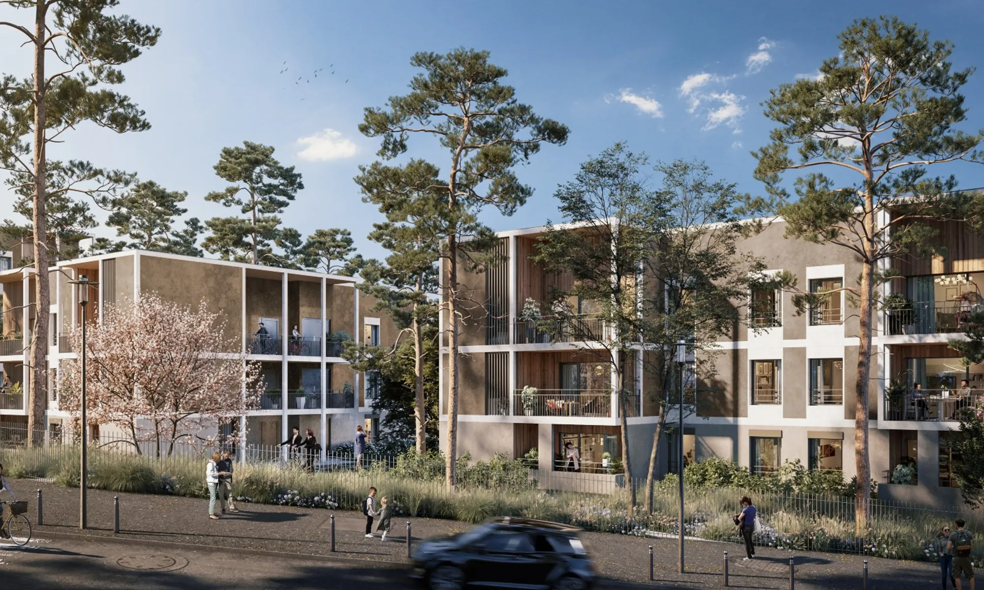 LES JOURS NOUVEAUX - LE BELVÉDÈRE