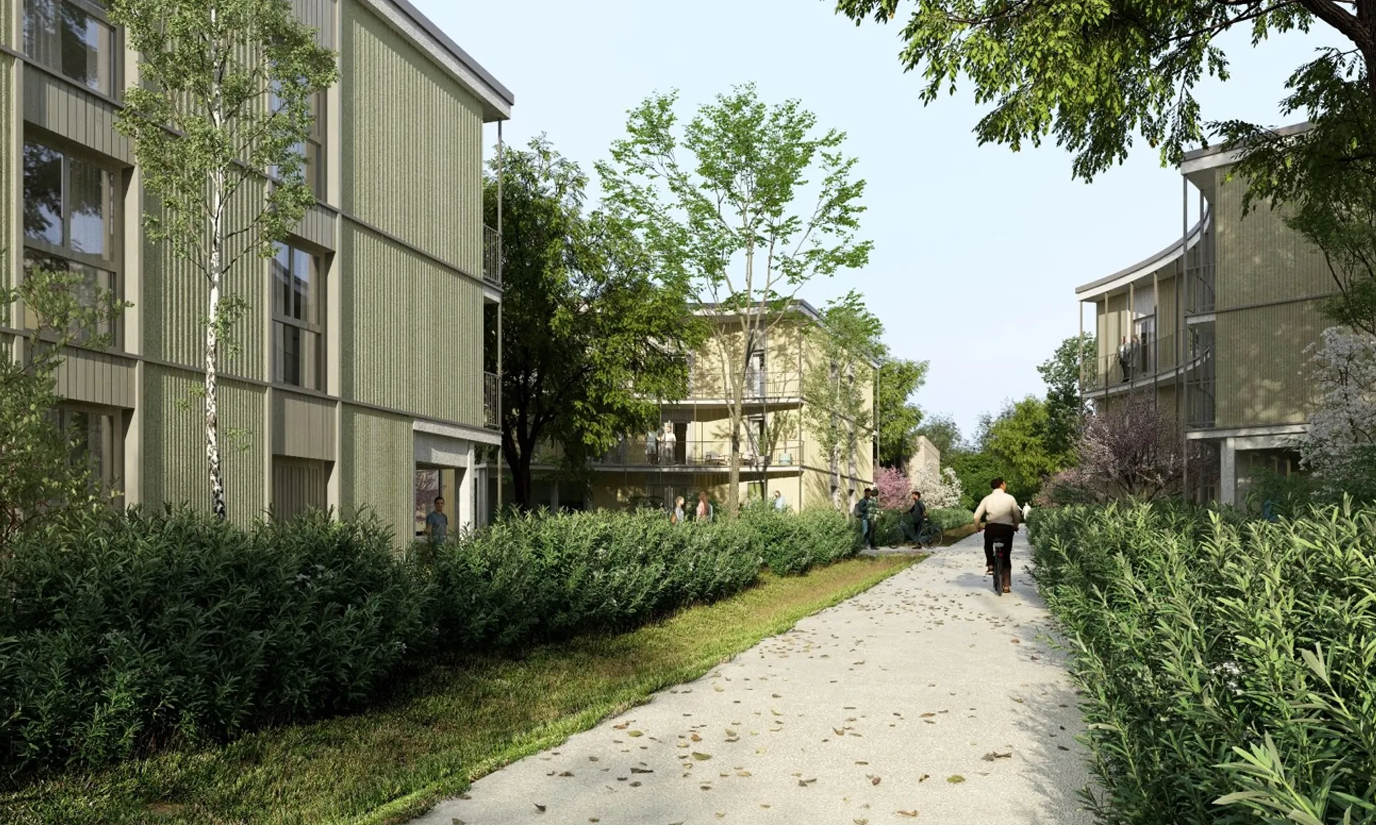 Les Bosquets du Roi - B1