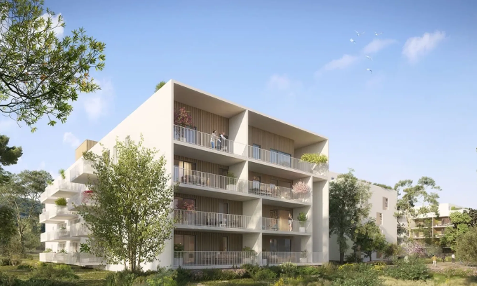 BAIE DES OLIVINES TRANCHE 1