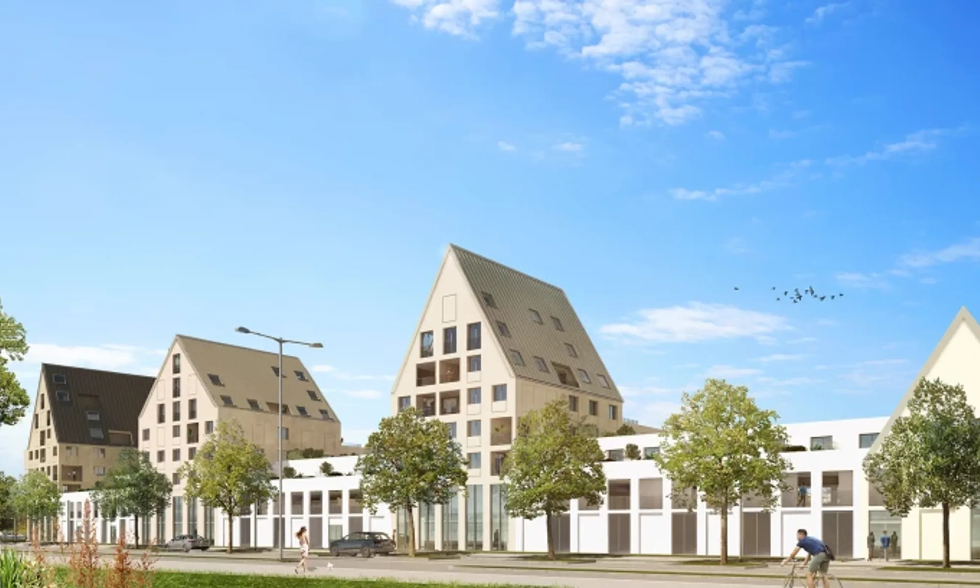 DIJON - BILOBA BAT D