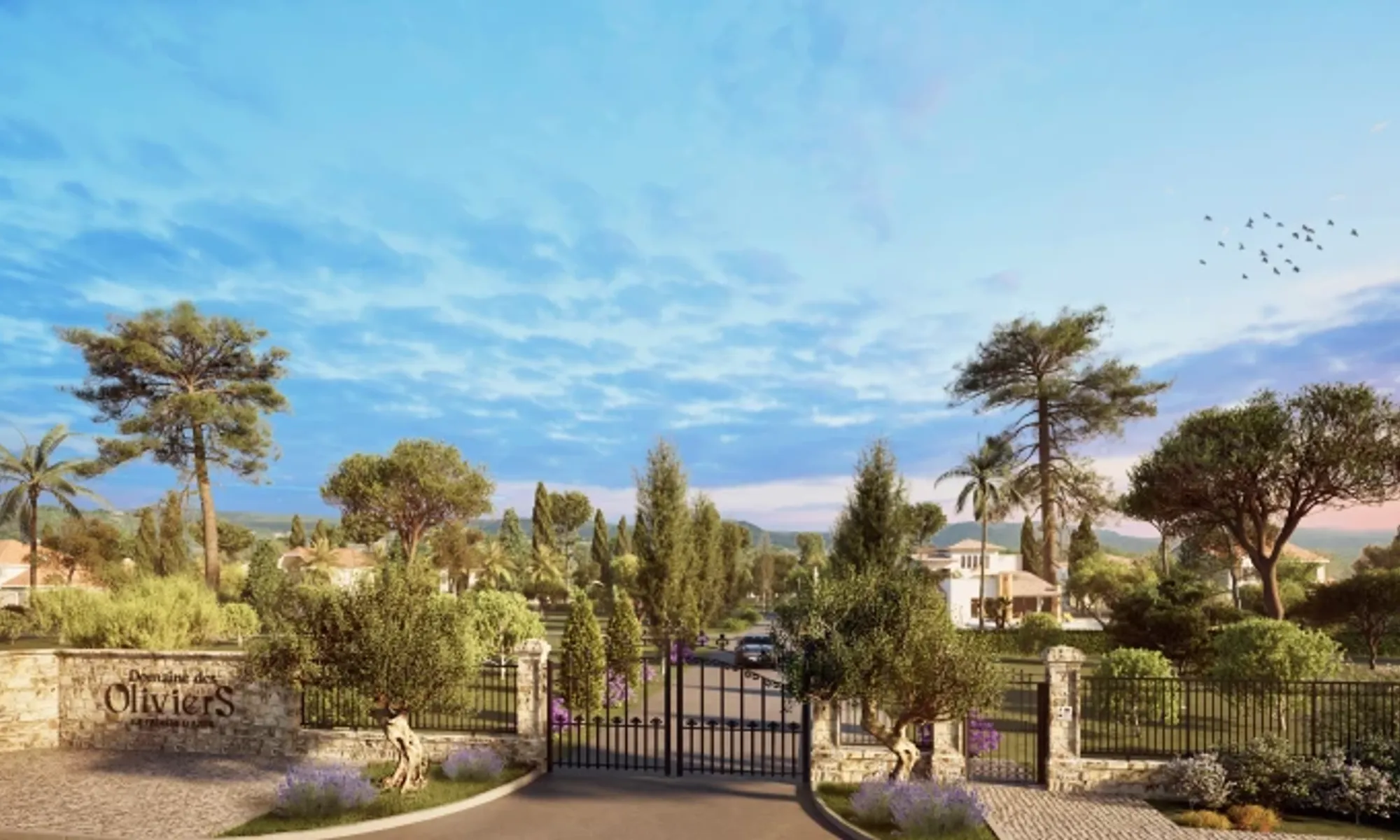 DOMAINE DES OLIVIERS