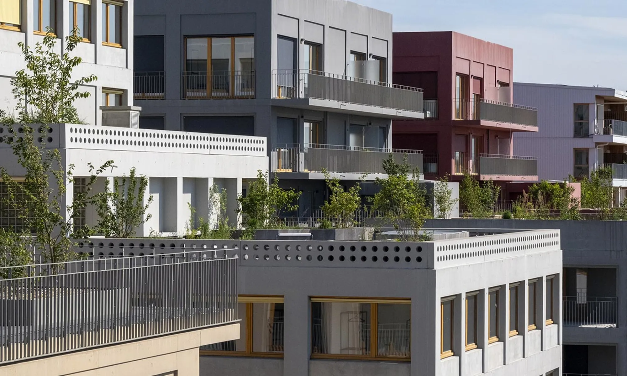 ILE EN SEINE - PA8 - LES BERGES