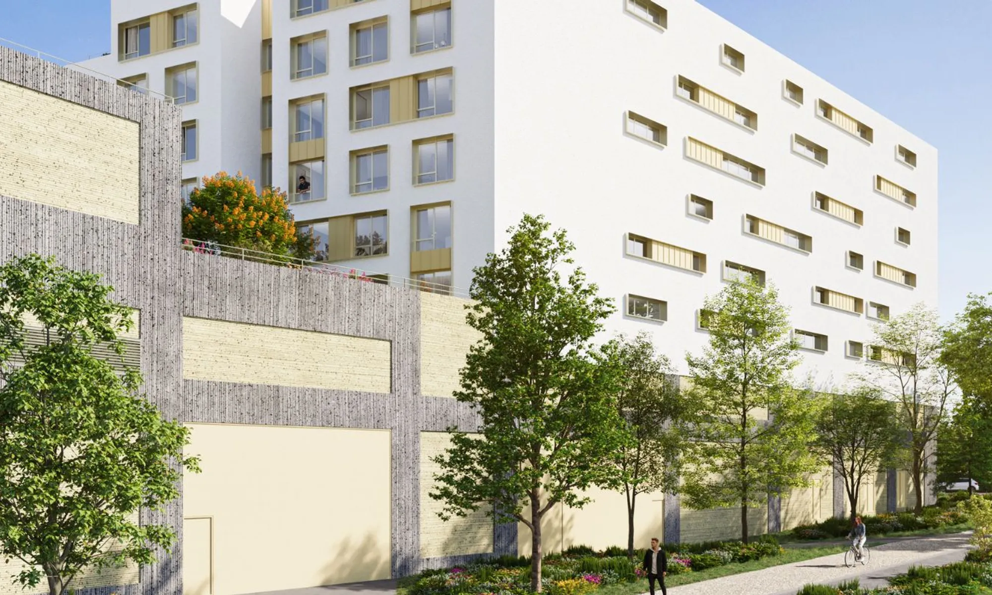 SEINE'UP - ACADEMIALES