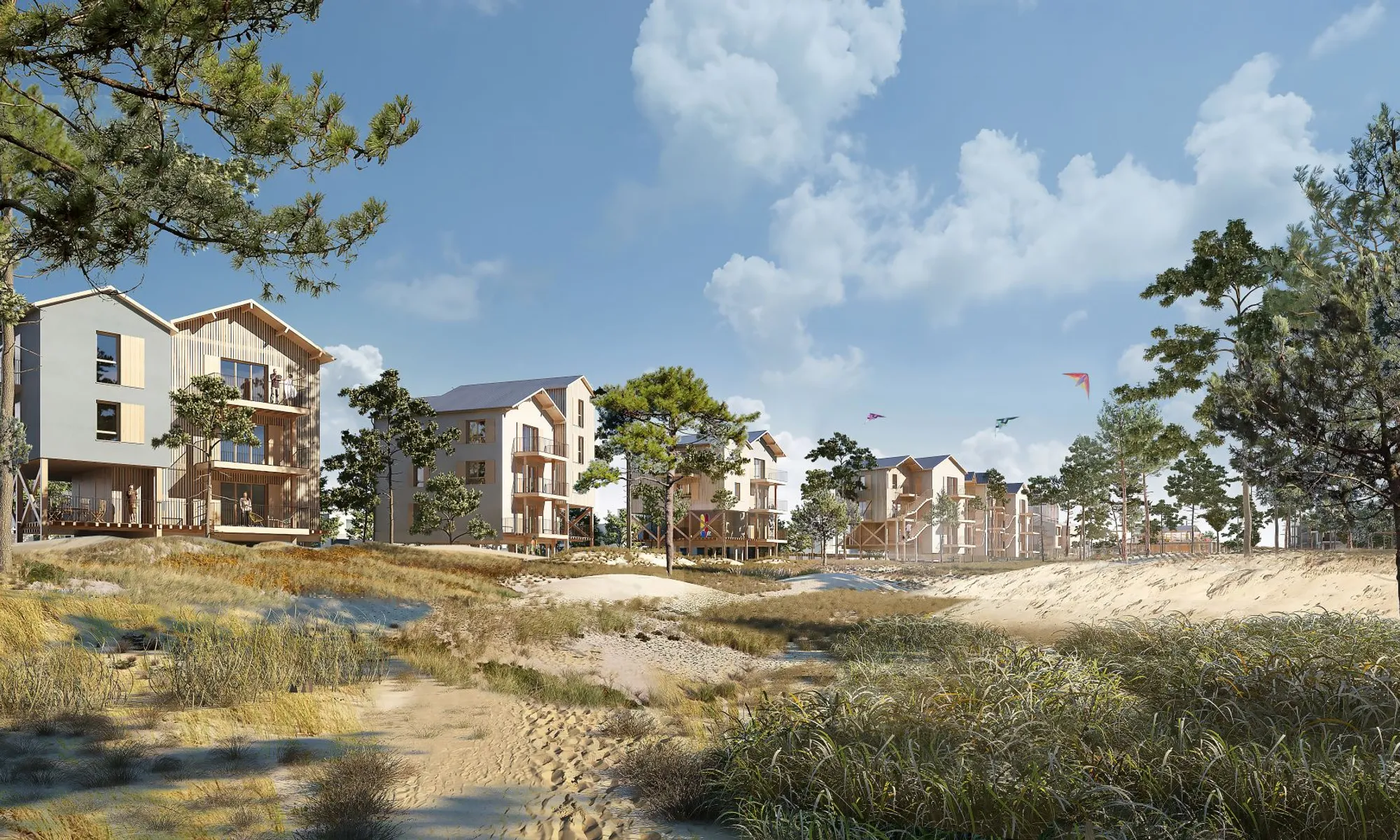 Entre Dunes & Pinède