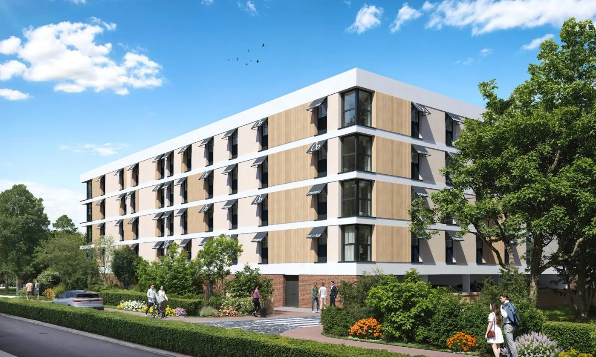 Symone By Adonis Touques